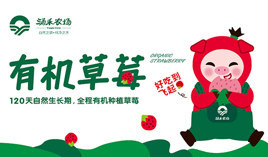 涌禾農(nóng)場(chǎng)有機(jī)草莓品牌全案策劃設(shè)計(jì)IP吉祥物設(shè)計(jì)