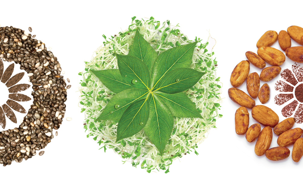 營養(yǎng)食品保健品包裝設(shè)計——Nature Own 大自然超級食品營養(yǎng)補(bǔ)充劑包裝設(shè)計包裝配圖-尚略廣告品牌策劃公司