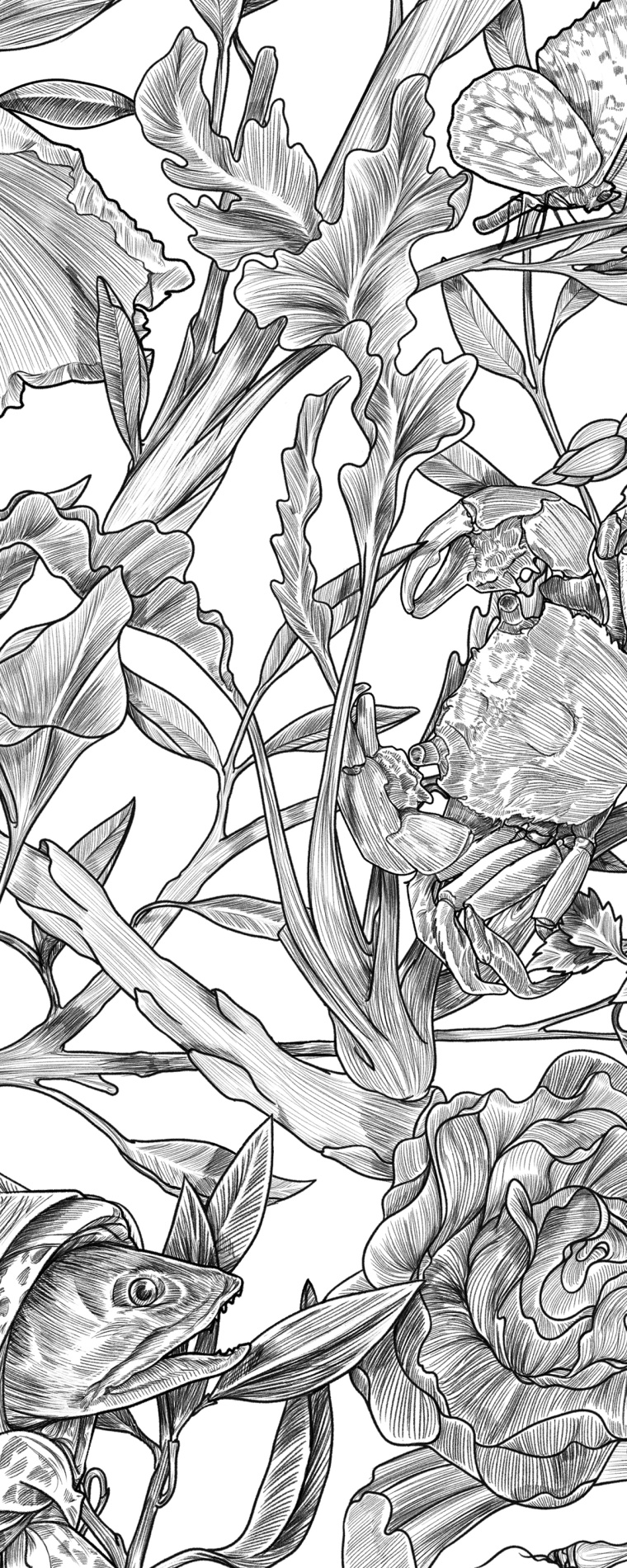 Botanique 餐廳植物鳥兒插畫設(shè)計-上海品牌形象設(shè)計公司5