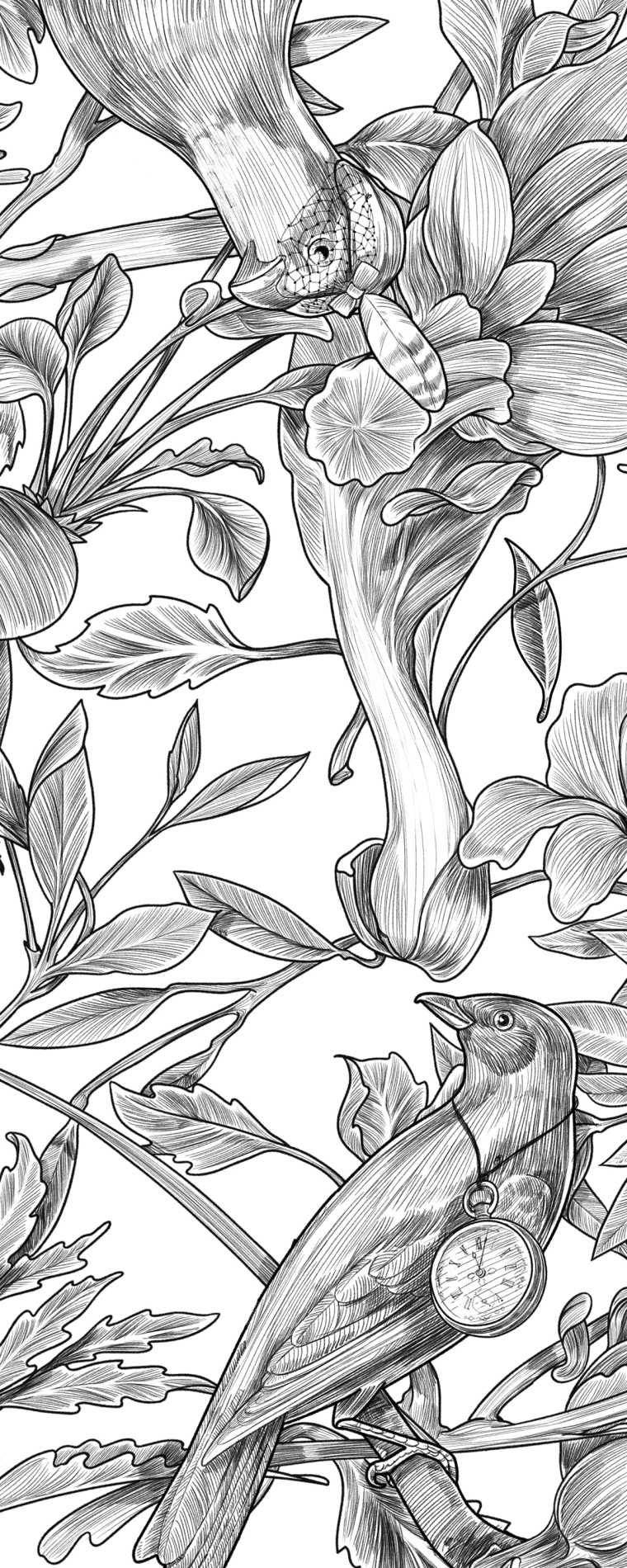 Botanique 餐廳植物鳥兒插畫設(shè)計-上海品牌形象設(shè)計公司6