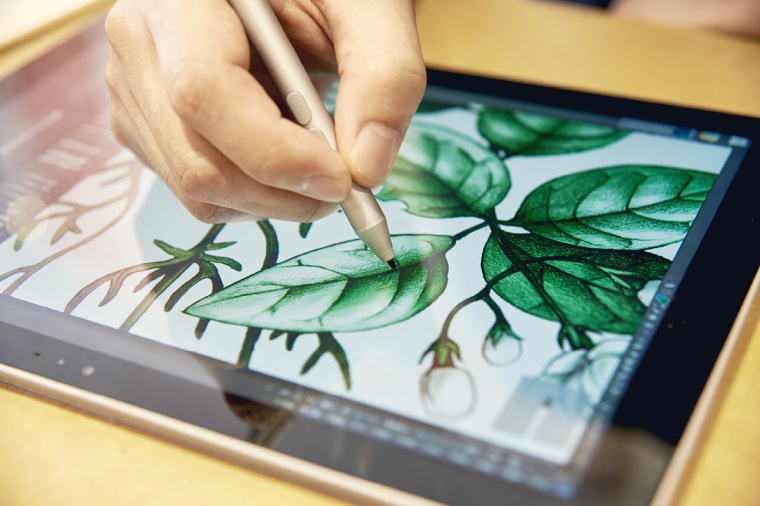 香圃芳香生活用品品牌手繪插畫設計25 香圃芳香生活用品品牌手繪插畫設計25