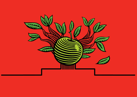 Cide蘋果酒梨子酒果酒包裝設(shè)計(jì)-水果插畫酒標(biāo)設(shè)計(jì)-上海包裝設(shè)計(jì)公司設(shè)計(jì)品鑒7 Cide蘋果酒梨子酒果酒包裝設(shè)計(jì)-水果插畫酒標(biāo)設(shè)計(jì)-上海包裝設(shè)計(jì)公司設(shè)計(jì)品鑒7