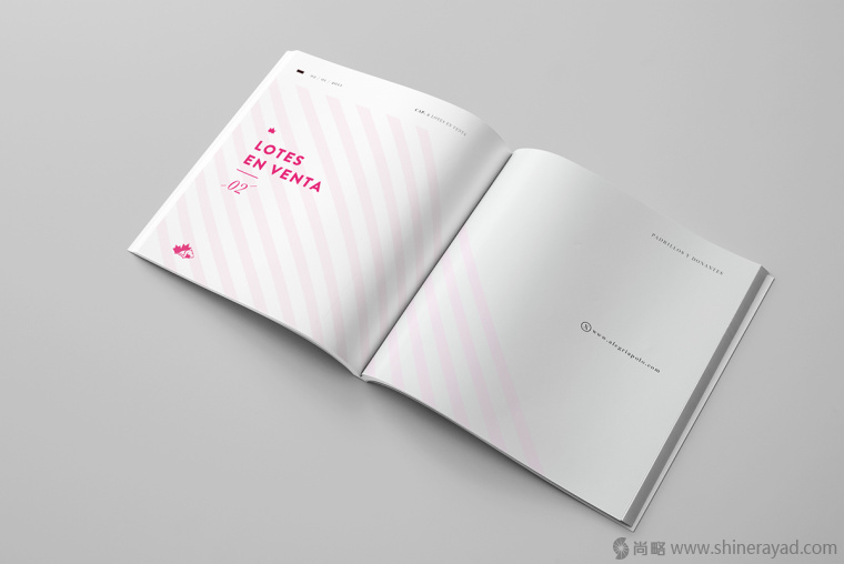 3.上海畫冊設(shè)計(jì)公司-Alegria 馬球協(xié)會宣傳畫冊設(shè)計(jì)欣賞