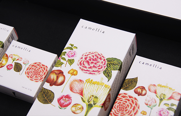 上海化妝品包裝設(shè)計(jì)公司設(shè)計(jì)研究：CAMELLIA 山茶花化妝品包裝設(shè)計(jì)3