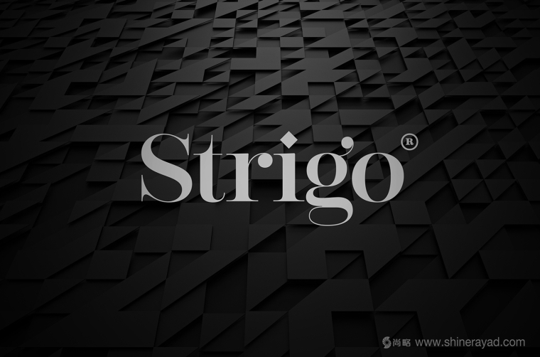 Strigo服飾品牌形象全案設(shè)計-標(biāo)志設(shè)計1