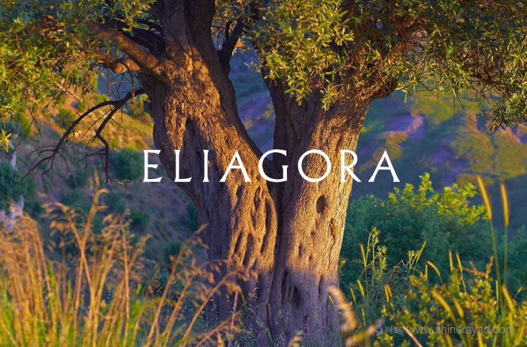 上海包裝設(shè)計公司設(shè)計欣賞 ELIAGORA olive oil 特級初榨橄欖油包裝設(shè)計1