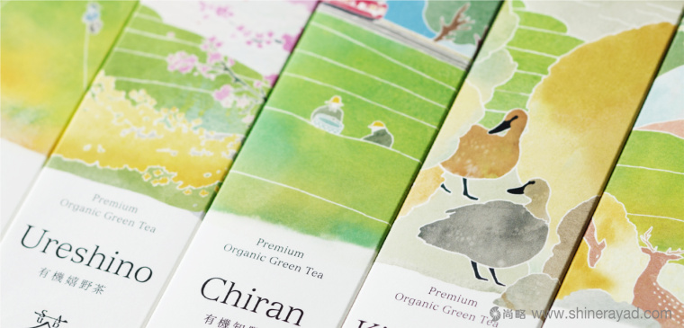 日本Saudade Tea 淡雅水彩插畫有機茶葉品牌包裝設計6 日本Saudade Tea 淡雅水彩插畫有機茶葉品牌包裝設計6