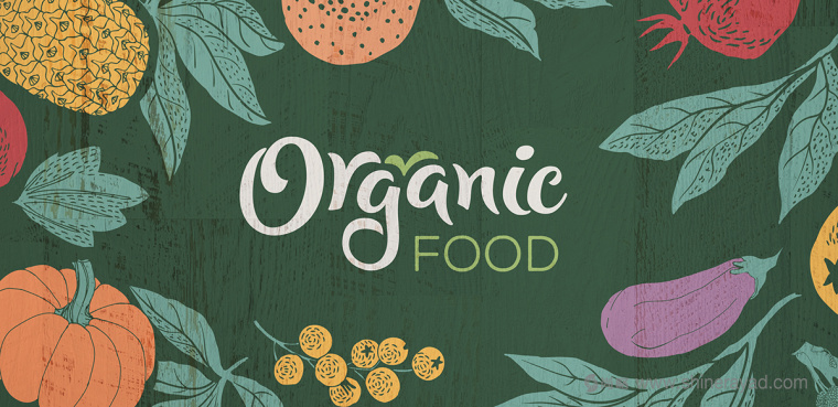 二維插畫風(fēng)格 Organic Food 有機(jī)食品蔬菜水果包裝設(shè)計(jì)-上海農(nóng)產(chǎn)品包裝設(shè)計(jì)公司1
