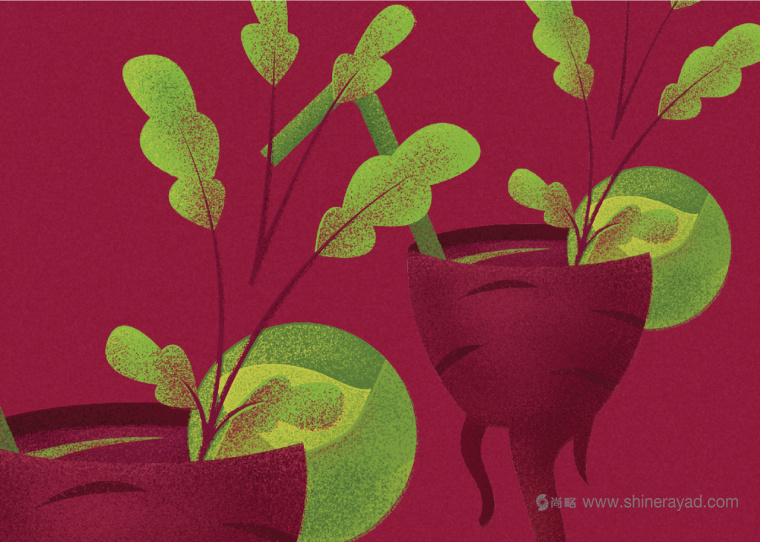 Borshch 咖啡館lVI形象設(shè)計蔬菜植物插畫設(shè)計-上海VI設(shè)計公司-上海餐飲品牌設(shè)計公司