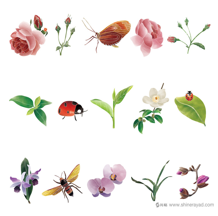 Rosehill 面膜包裝插畫設(shè)計清新茶花 - 瓢蟲-上?;瘖y品包裝設(shè)計公司9 Rosehill 面膜包裝插畫設(shè)計清新茶花 - 瓢蟲-上?;瘖y品包裝設(shè)計公司9