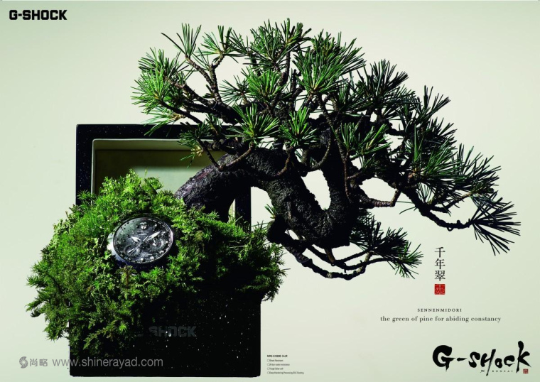 G-shock 手表“松樹(shù)長(zhǎng)青”盆景篇平面廣告創(chuàng)意設(shè)計(jì)-上海設(shè)計(jì)公司 G-shock 手表“松樹(shù)長(zhǎng)青”盆景篇平面廣告創(chuàng)意設(shè)計(jì)-上海設(shè)計(jì)公司