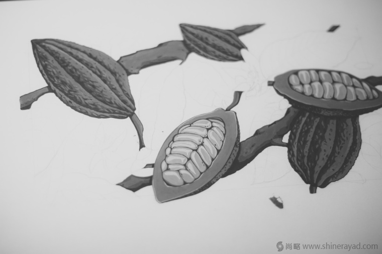 國(guó)外手繪植物花卉插畫風(fēng)格洋酒包裝設(shè)計(jì)-curio杜松子酒和伏特加酒包裝設(shè)計(jì)4 國(guó)外手繪植物花卉插畫風(fēng)格洋酒包裝設(shè)計(jì)-curio杜松子酒和伏特加酒包裝設(shè)計(jì)4
