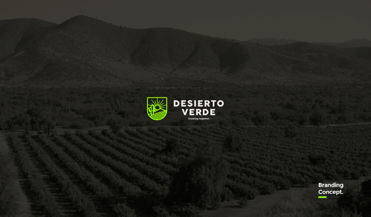 Desierto Verde 有機(jī)農(nóng)產(chǎn)品品品牌LOGO設(shè)計(jì)-上海LOGO設(shè)計(jì)公司1
