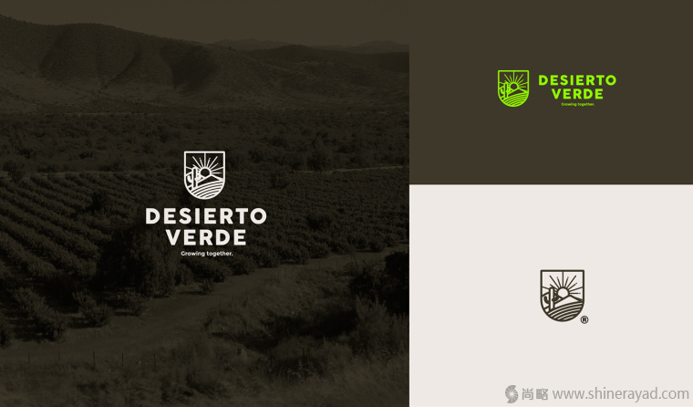 Desierto Verde 有機(jī)農(nóng)產(chǎn)品品品牌LOGO設(shè)計(jì)-上海LOGO設(shè)計(jì)公司3