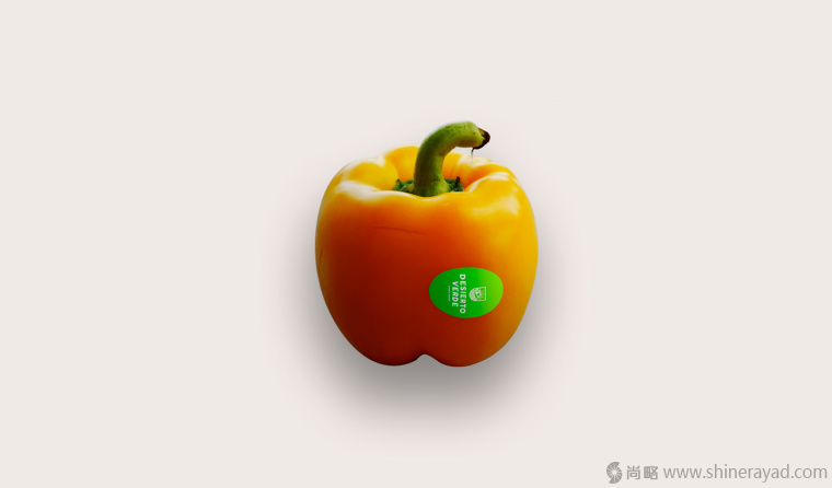 Desierto Verde 有機(jī)農(nóng)產(chǎn)品品品牌LOGO設(shè)計(jì)-上海LOGO設(shè)計(jì)公司8