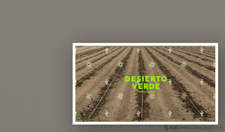Desierto Verde 有機(jī)農(nóng)產(chǎn)品品品牌LOGO設(shè)計(jì)-上海LOGO設(shè)計(jì)公司13