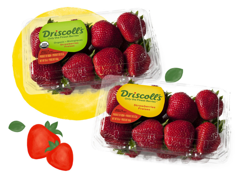 Driscoll''''s 漿果草莓藍莓樹莓黑莓水果農(nóng)產(chǎn)品新包裝設(shè)計-上海包裝設(shè)計公司