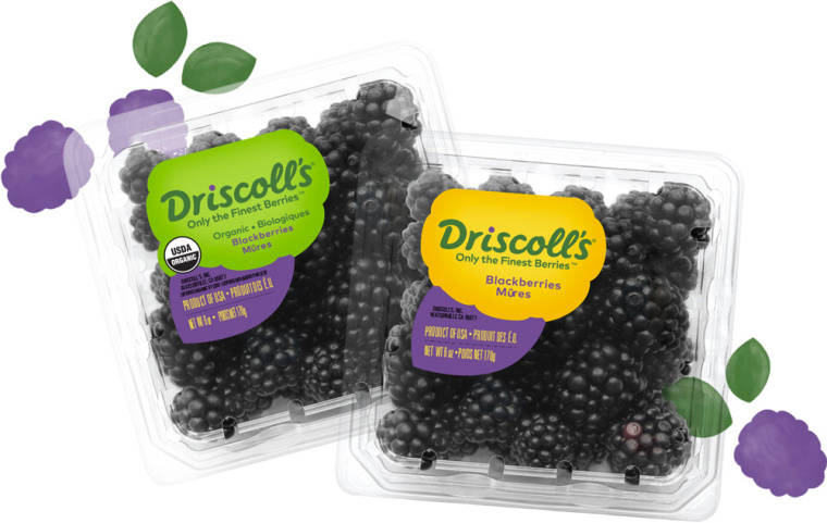 Driscoll''''s 漿果草莓藍莓樹莓黑莓水果農(nóng)產(chǎn)品新包裝設(shè)計-上海包裝設(shè)計公司