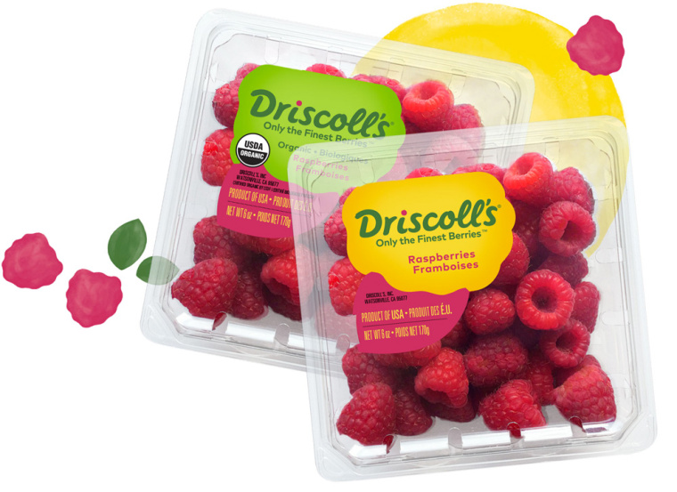 Driscoll''''s 漿果草莓藍莓樹莓黑莓水果農(nóng)產(chǎn)品新包裝設(shè)計-上海包裝設(shè)計公司