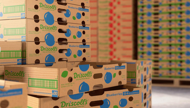 Driscoll''''s 漿果草莓藍莓樹莓黑莓農(nóng)產(chǎn)品瓦能紙外箱包裝設(shè)計-上海包裝設(shè)計公司