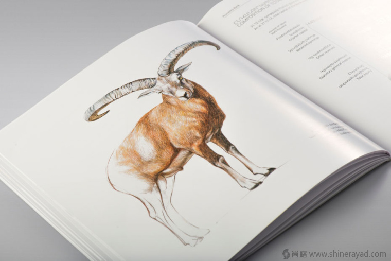 上海畫冊(cè)設(shè)計(jì)公司欣賞拯救瀕臨滅絕動(dòng)物宣傳畫冊(cè)設(shè)計(jì)與動(dòng)物藝術(shù)插畫設(shè)計(jì)12 上海畫冊(cè)設(shè)計(jì)公司欣賞拯救瀕臨滅絕動(dòng)物宣傳畫冊(cè)設(shè)計(jì)與動(dòng)物藝術(shù)插畫設(shè)計(jì)12