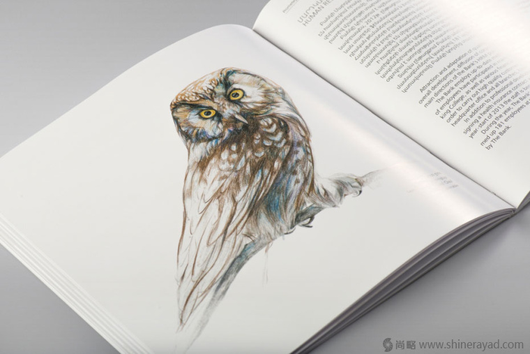 上海畫冊(cè)設(shè)計(jì)公司欣賞拯救瀕臨滅絕動(dòng)物宣傳畫冊(cè)設(shè)計(jì)與動(dòng)物藝術(shù)插畫設(shè)計(jì)14 上海畫冊(cè)設(shè)計(jì)公司欣賞拯救瀕臨滅絕動(dòng)物宣傳畫冊(cè)設(shè)計(jì)與動(dòng)物藝術(shù)插畫設(shè)計(jì)14
