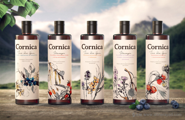 植物素描與水彩插畫CORNICA洗發(fā)水沐浴露清潔衛(wèi)生與天然化妝品包裝設(shè)計-上海包裝設(shè)計公司9 植物素描與水彩插畫CORNICA洗發(fā)水沐浴露清潔衛(wèi)生與天然化妝品包裝設(shè)計-上海包裝設(shè)計公司9