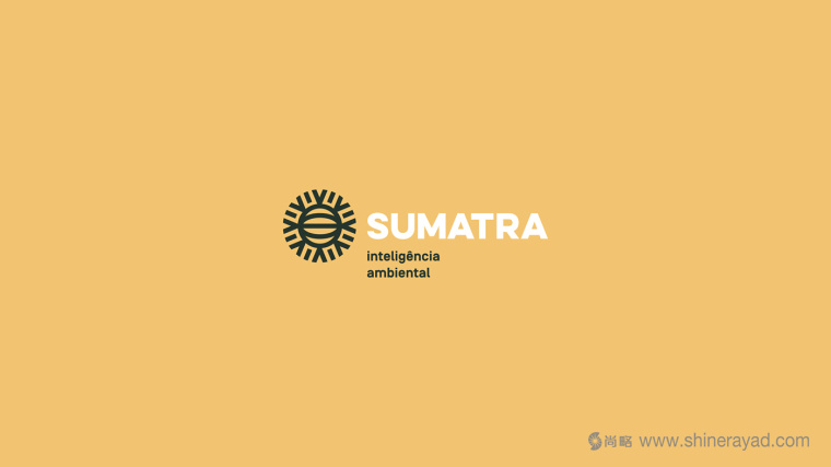 Sumatra 智能安全環(huán)境系統(tǒng)logo設計VI設計-上海logo設計5