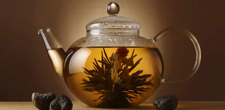 ROSTA品牌茶壺造型茶葉logo設(shè)計(jì)-上海logo設(shè)計(jì)公司設(shè)計(jì)欣賞2