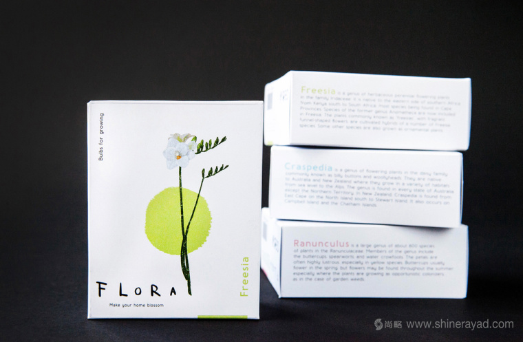 FLORA 鮮花球莖根莖包裝設計-上海包裝設計公司設計收藏2 FLORA 鮮花球莖根莖包裝設計-上海包裝設計公司設計收藏2