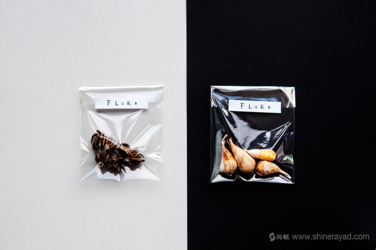 FLORA 鮮花球莖根莖內袋包裝設計-上海包裝設計公司設計收藏5 FLORA 鮮花球莖根莖內袋包裝設計-上海包裝設計公司設計收藏5