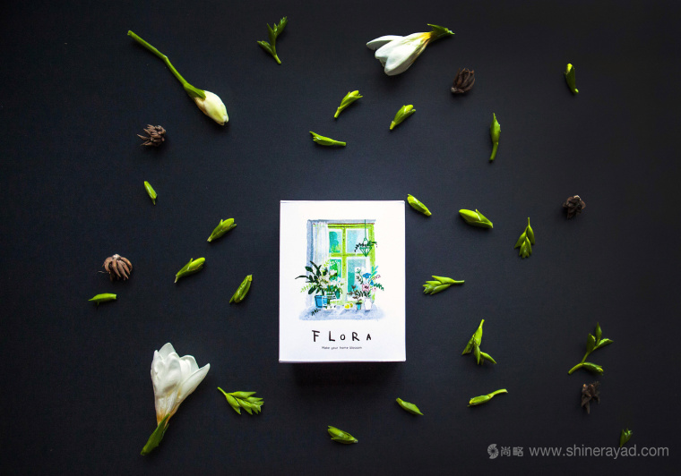 FLORA 鮮花球莖根莖包裝設計-上海包裝設計公司設計收藏3 FLORA 鮮花球莖根莖包裝設計-上海包裝設計公司設計收藏3