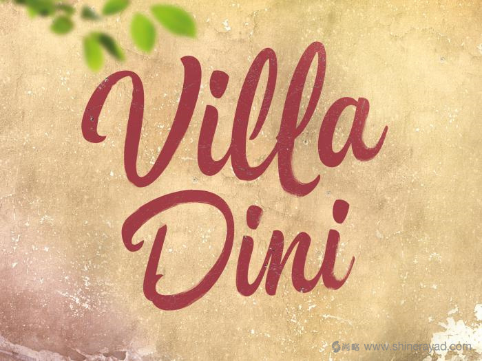 上海包裝設(shè)計(jì)-Villa Dini 水墨風(fēng)格水果飲料包裝設(shè)計(jì)-logo設(shè)計(jì)2 上海包裝設(shè)計(jì)-Villa Dini 水墨風(fēng)格水果飲料包裝設(shè)計(jì)-logo設(shè)計(jì)2