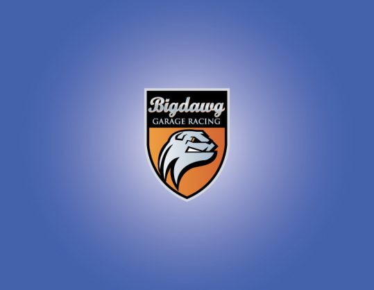 汽車維修品牌標(biāo)志設(shè)計(jì)logo設(shè)計(jì)圖片大全-上海標(biāo)志設(shè)計(jì)公司