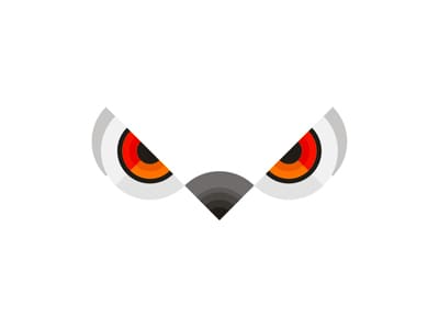 白色貓頭鷹的眼睛logo設(shè)計(jì)