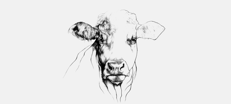 鉛筆動物頭像插畫R?ROSKJ?TT鮮肉肉類品牌形象設(shè)計包裝設(shè)計