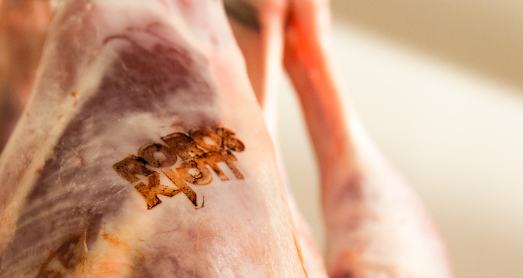 鉛筆動物頭像插畫R?ROSKJ?TT鮮肉肉類品牌形象設(shè)計包裝設(shè)計
