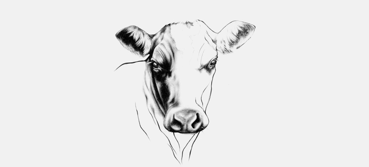 鉛筆動物頭像插畫R?ROSKJ?TT鮮肉肉類品牌形象設(shè)計包裝設(shè)計