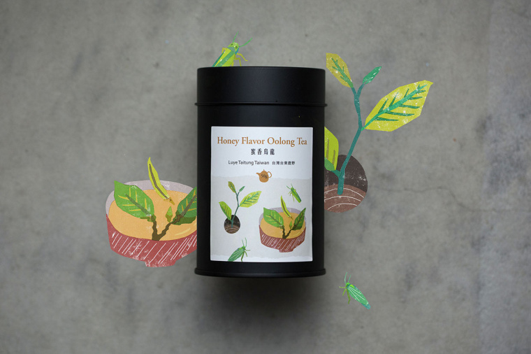 臺灣芳香茶茶葉包裝設計”臺灣自然植物插畫篇“ 臺灣芳香茶茶葉包裝設計”臺灣自然植物插畫篇“