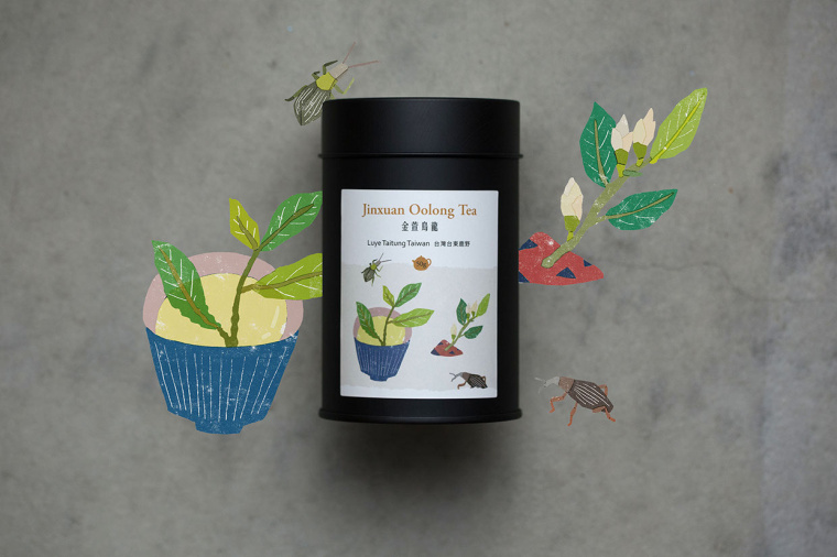 臺灣芳香茶茶葉包裝設計”臺灣自然植物插畫篇“ 臺灣芳香茶茶葉包裝設計”臺灣自然植物插畫篇“