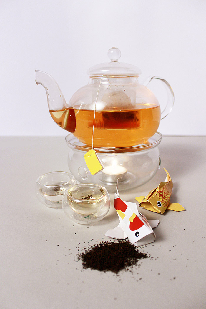“年年有余”紅茶包裝創(chuàng)意魚類造型與禮盒包裝設(shè)計-上海包裝設(shè)計公司