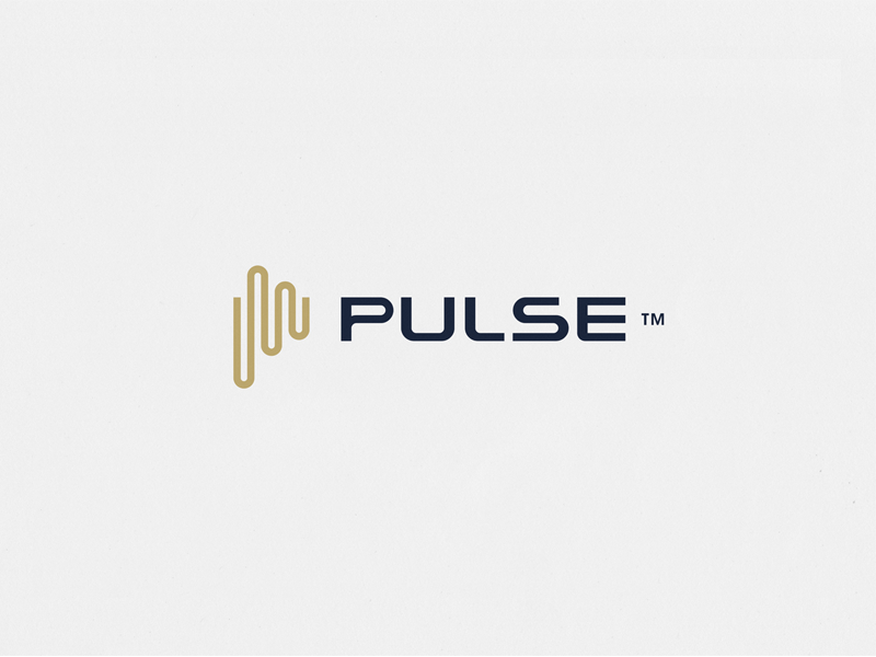 WIP Pulse銀行Logo設(shè)計(jì)-上海標(biāo)志設(shè)計(jì)公司 WIP Pulse銀行Logo設(shè)計(jì)-上海標(biāo)志設(shè)計(jì)公司