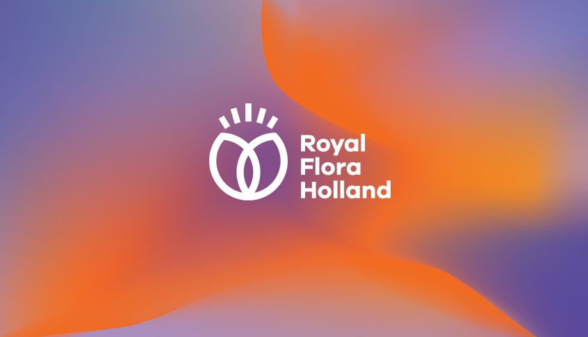 Royal Flora Holland 鮮花花卉種植合作社品牌logo設(shè)計-上海logo設(shè)計公司 Royal Flora Holland 鮮花花卉種植合作社品牌logo設(shè)計-上海logo設(shè)計公司