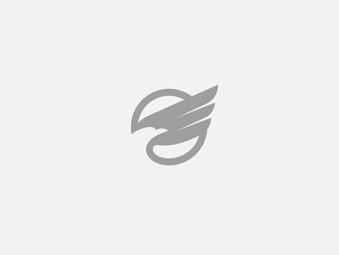 上海logo設(shè)計公司2016-2017年50個絕佳創(chuàng)意logo設(shè)計案例欣賞-鷹 logo 上海logo設(shè)計公司2016-2017年50個絕佳創(chuàng)意logo設(shè)計案例欣賞-鷹 logo