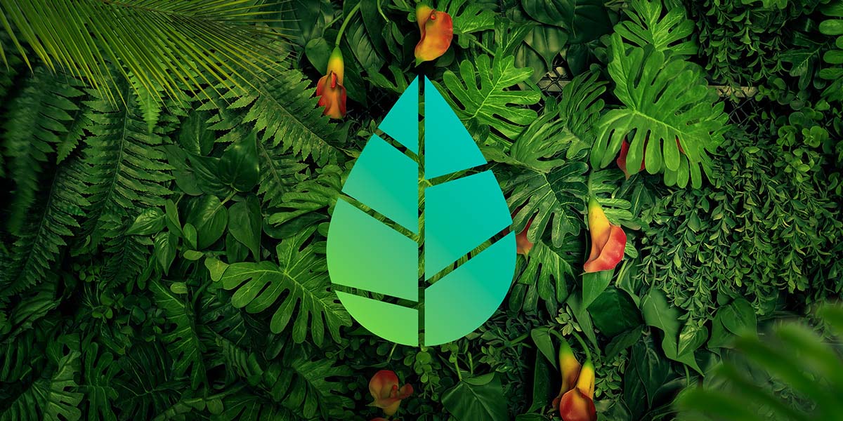 Amazonia 亞馬遜飲料葉子logo-上海logo設(shè)計公司