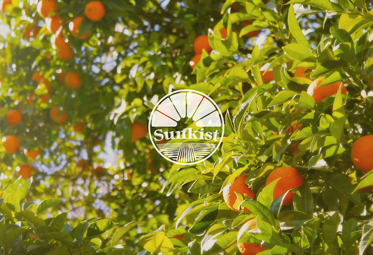 Sunkist 水果品牌logo設(shè)計(jì)-上海logo設(shè)計(jì)