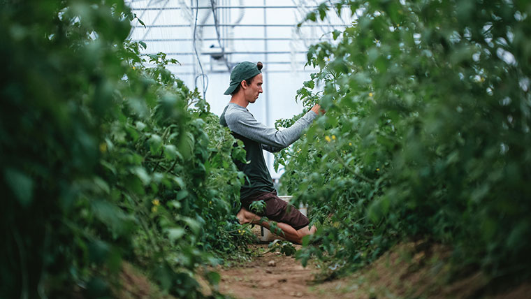Ferme 地?zé)釡厥肄r(nóng)場(chǎng)農(nóng)業(yè)品牌視覺(jué)形象設(shè)計(jì)-上海品牌設(shè)計(jì)公司 Ferme 地?zé)釡厥肄r(nóng)場(chǎng)農(nóng)業(yè)品牌視覺(jué)形象設(shè)計(jì)-上海品牌設(shè)計(jì)公司