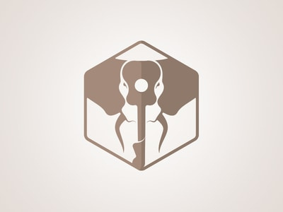 六角大象logo設(shè)計(jì)-上海logo設(shè)計(jì)公司