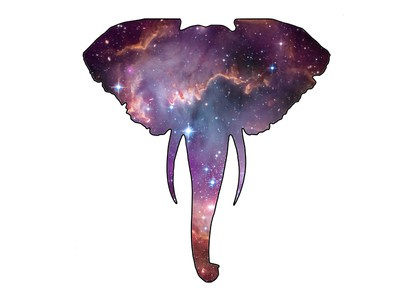 大象與星系logo設(shè)計(jì)-上海logo設(shè)計(jì)公司