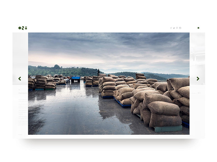 One & Olive 希臘特級初榨橄欖油網(wǎng)站設(shè)計-上海網(wǎng)站設(shè)計建設(shè)公司 One & Olive 希臘特級初榨橄欖油網(wǎng)站設(shè)計-上海網(wǎng)站設(shè)計建設(shè)公司